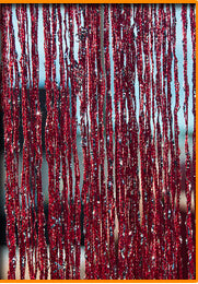 Shiny Tassel Silver Line String Curtain